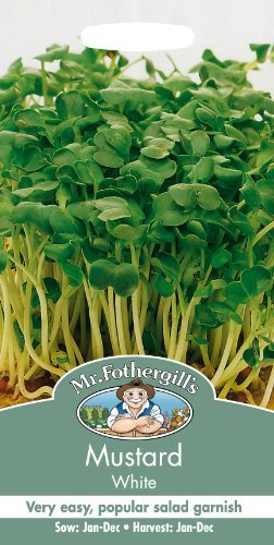Mr Fothergills - Pictorial Packet - Salad - Mustard White - 2500 Seeds
