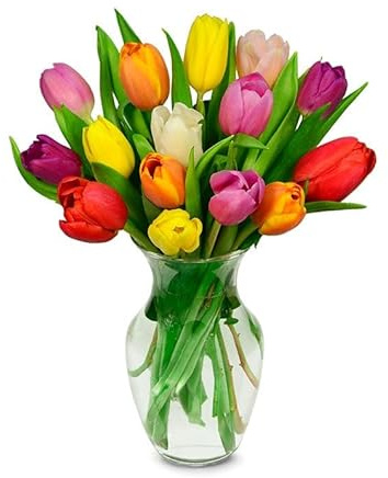 From You Flowers - Rainbow Tulip Bouquet - 15 Stems with Glass Vase | Fresh Flower Bouquets for Birthday, Anniversary, Get Well or Celebration