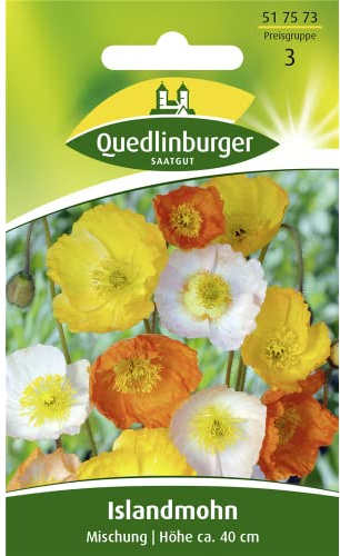 Quedlinburger