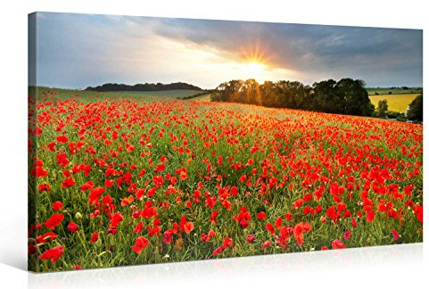 Gallery of Innovative Art – Poppie Field Sunset – 100x50cm – Larga Stampa su Tela per Decorazione murale – Immagine su Tela su Telaio in Legno – Stampa su Tela Giclée – Arazzo Decorazione murale