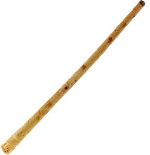 Terre Didgeridoo Proline D Eukalyptus 150-160cm