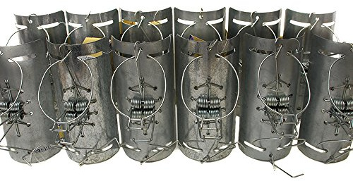 Defenders STV152M Mole Tunnelfälla, traditionell, mänsklig, tvåvägsfälla för mullvadskontroll, lämplig för användning i frostad mark och vått väder (paket med 12), silver, 38 x 15 x 14 cm