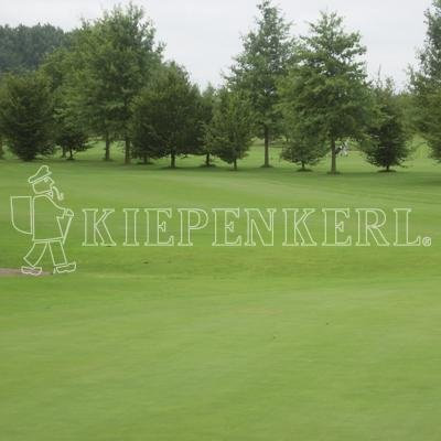 Kiepenkerl 4000159623828 RSM 4.4.2 Golfrasen Spielbahn 10 kg