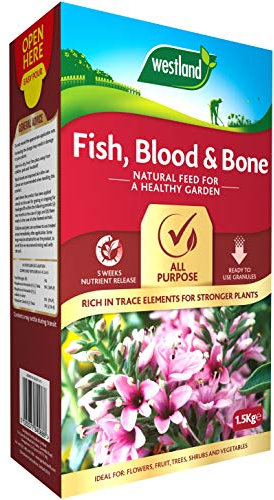 Westland 20600010 Fish, Blood and Bone All Purpose Plant Food, 1.5 kg