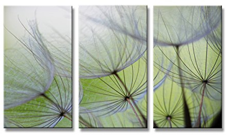 Visario Leinwandbild 160x90 cm 1167 Pusteblume Blumen Natur Wandbild XXL Wohnzimmer Schlafzimmer Büro moderne Wanddekoration fertig aufgespannt auf Holzrahmen Kunstdruck Blumenmotiv Löwenzahn