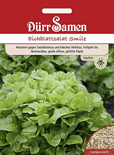 Dürr-Samen - Eichblattsalat Smile Saatgut