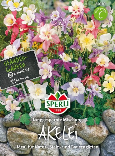 Sperli-Samen Akelei Langgespornte Mischung