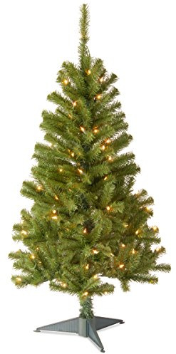 National Tree Company 4 ft Pre-Lit Grande Canadian Fir Mini Artificial Christmas Tree, 100 Clear Lights, 230 Tips, Includes Stand, Green