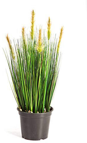 artplants.de Deko Fuchsschwanzgras im Topf, 790 Halme, 6 gelb Rispen, grün, 60cm - Grasbusch künstlich - Kunstgras im Topf