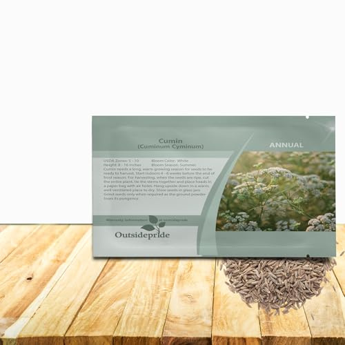 Outsidepride Common White Cumin Seeds for Planting - 1000 Pcs Annual, Aromatic Spice, Easy to Grow, Flavorful Seeds for Culinary & Traditional Spice and Herb Gardens, Versatile & Low-Maintenance