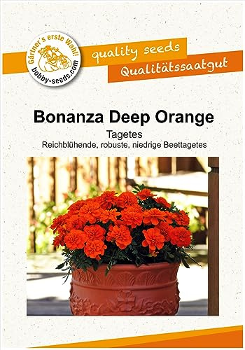 Blumensamen Bonanza Deep Orange Tagetes Portion