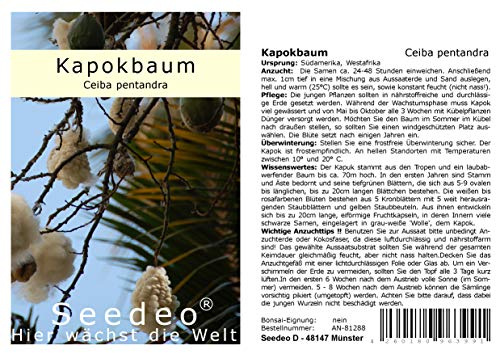 Seedeo® Kapokbaum (Ceiba pentandra) 20 Samen
