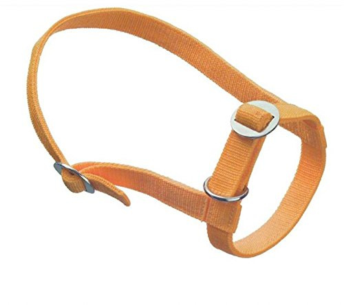 Cavezza per vitelli in nylon regolabile