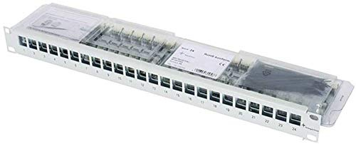 TELEGÄRTNER J02023A0040 24 AMJ-S Modulen T568B lichtgrau
