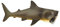 Toob 223429 Hai Ltd Wild Safari Sea Life Basking Shark Pädagogische handbemalte Figur, hochwertige Konstruktion aus sicheren und BPA-freien Materialien F, ['Grau-braun']