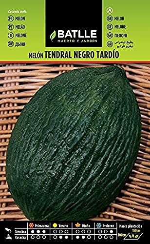 Semillas Batlle Graines de Melon Tendral, Noir, Tardif