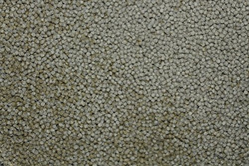 15kg Coppens Koi-Spirulina 3mm Koifutter