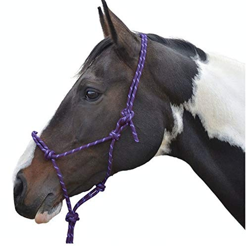 HY Rope Halter - Cob/Full