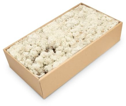 NaDeco Islandmoos Natur 500g Rentier Moos Rendier Moos Deko Moos Bastel Moos Dekomoos