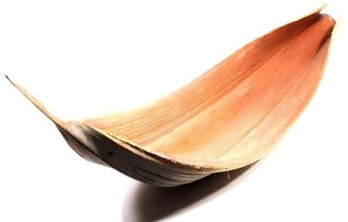 NaDeco Kokosblatt Galara Groß (Giants), Länge ab 140cm | Kokosschale | Kokosnuss Blatt | Palmenschale | großes Palmenblatt | Palmenwedel | exotische Dekoration