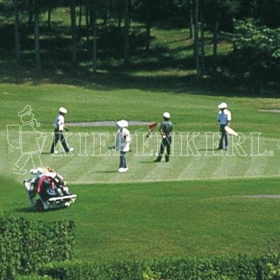 Kiepenkerl 4000159623798 RSM 4.4.1 Golfrasen Spielbahn 10 kg