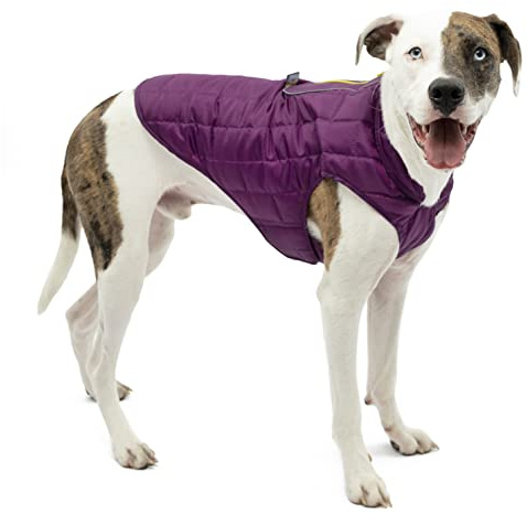 Kurgo Loft Dog Jacket, Deep Violet, Large