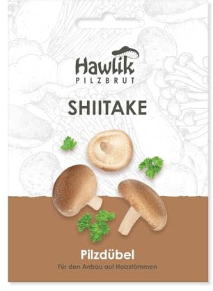 Hawlik Pilzbrut - Shiitake Pilze auf Holz & Baumstämmen züchten - frische Pilze einfach züchten - 20 Pilzdübel mit Mycel für die Zucht auf Holz