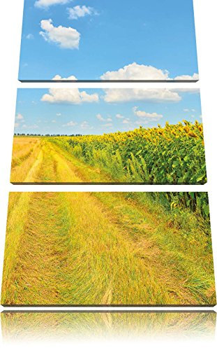 Pixxprint Feldweg am Wald, Leinwandbild 3 Teilig, Gesamtmaß: 120x80cm, Wandbild, Dekoration, fertig gespannt, Kein Poster