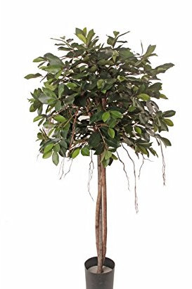 ABVERKAUF - Ficus Kunstbaum 150cm mit 3 Echtstämmen und Textilfaser Blätter - Kunstpflanze Kunstbaum künstliche Bäume Gummibaum Kunstoffpflanzen Dekopflanzen Textilbäume Pflanzen aus Textil