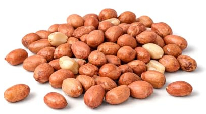 Naturkost Schulz - BIO Erdnusskerne, Erdnüsse I Rohkost Qualität, mit der vitalstoffreichen Haut (1000g)