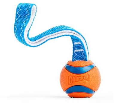 Chuckit! Ultra Tug Dog leksak med gummiboll bogserbåt krig interaktiv hämtning leksak för hundar, liten