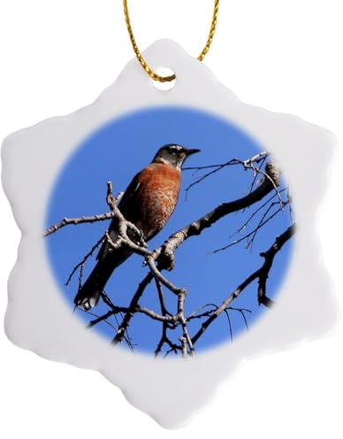 3 inch Snowflake Porcelain Ornament - Red Robin on a Branch Bird Photography