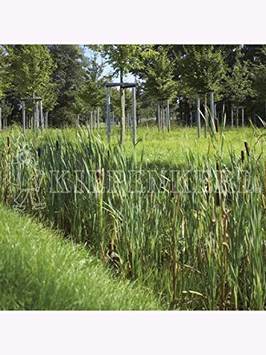 RSM-Rasensamen 8.1.1 Biotopmischung Grundmischung 1kg