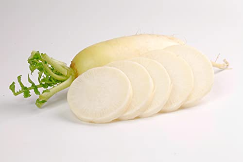 Kejora Fresh White Radish (Chinese Lo Bok) - 4 LBS