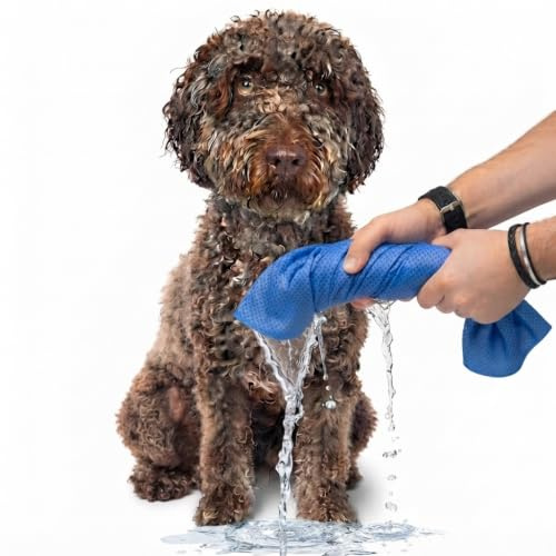 Genérico Toalla Ultra Absorbente para Perros (Azul) - Toalla RIS - Secado Rápido para Todas Las Razas, Perro de Agua y Playa - Gamuza de Alta Absorción (66x43 cm)