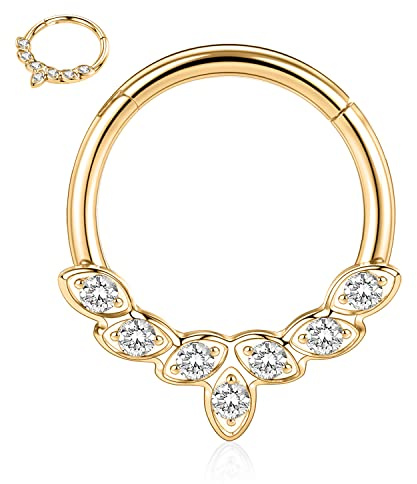 hengkaixuan 16G Septum Clicker Ring 316L Daith Ohrringe Rook Piercing Conch Jewe;ry Nasenring Hoop Higned Segment Seamless Clicker Ring Knorpel Tragus Helix Piercing Schmuck Kleine Creolen