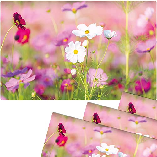 matches21 Frühlingshafte Tischsets Platzsets Motiv abwaschbar Frühling Blumen pink weiß Blumenwiese 4er 43,5x28,5 cm