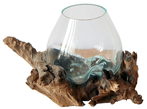 Geschenk Deko Gamal Wurzelholz B-WARE Glasvase Ø Glas 12-13 cm Wurzel Holz Teakholz Vase Glas S