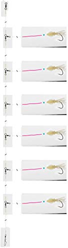 Daiwa Grand Wave Rotbarsch-Vorfach Circle-Hook 6hks, #5/0, 600cm, 0.80/0.70