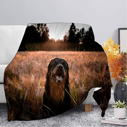 Kuscheldecke 80 x 150 cm 3D Rottweiler Flanell Fleecedecke, Weich Warm Flauschig Decke Tier Wohndecke Decken für Sofadecke Couchdecke kuscheldecken für Kinder Erwachsene, Blanket