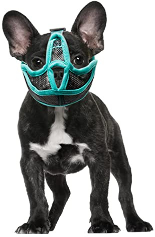 Sonew Maulkorb für kleine Hunde, mit kurzer Schnauze, atmungsaktiver Netzmaulkorb, Flacher Maulkorb für Französische Bulldogge, Shih Tzu und Mops (XL)