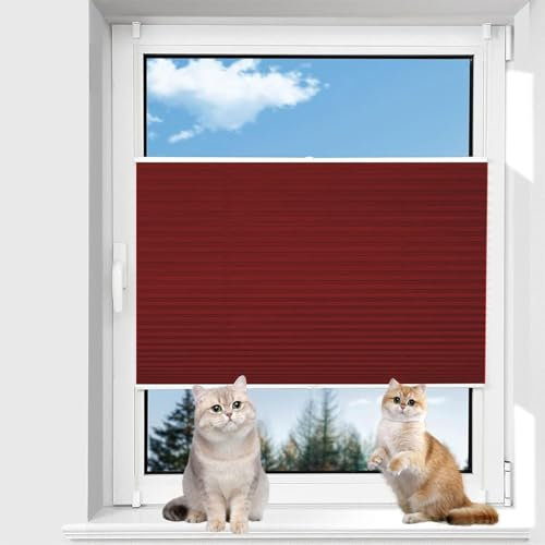 Jalousien zum Klemmen 40 x 40 cm Sichtschutz und Sonnenschutz Faltrollo Plisseerollo Jalousie Bequeme Montage Inkl. Aller Montage-Teile für Fenster und Tür, Rot