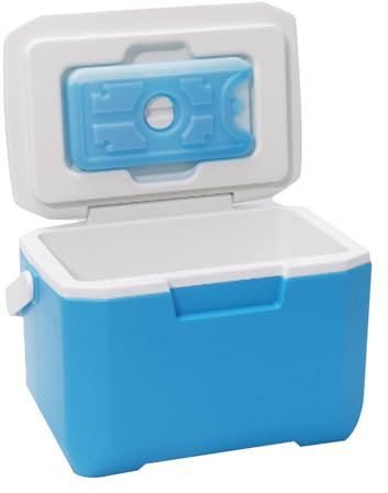 Insulated Portable Cooler, Hard Picnic Cooler - Car Fridge, Outdoor Cooler, Insulated Container, 6L Cool Box, Lightweight Hard Shell for Camping, Food, Picnic, Boating, Beach