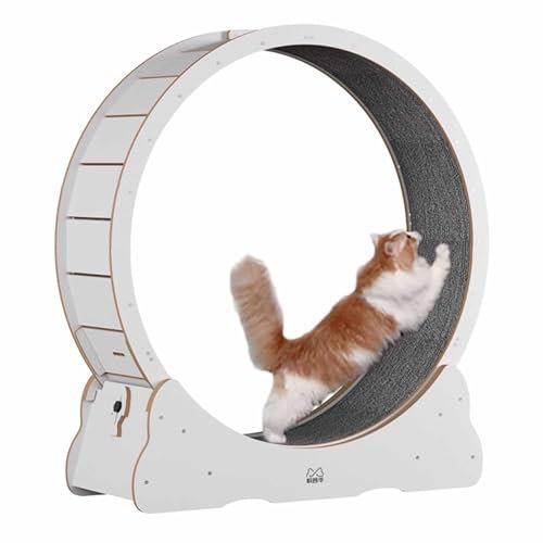 Katzenlaufrad Laufband für Weiße Katzen, Laufband für Wohnungskatzen, Kleines / Großes Katzenlaufrad, Leiser Katzen-Riesenrad-Trainer, Haustier Katzenspielzeug - 4 Größe Optional ( Size : 80cm/31.5 )