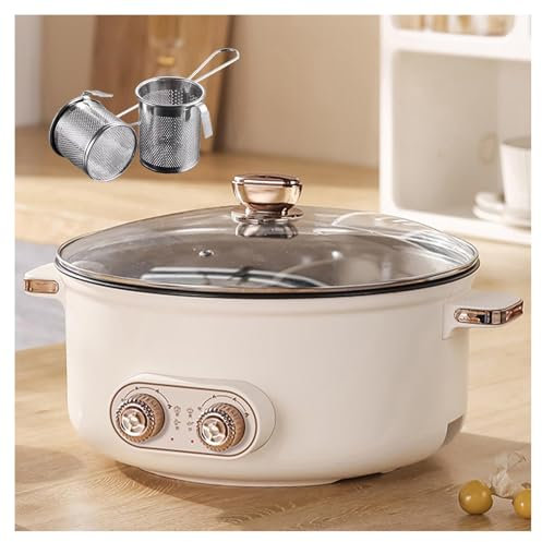 HJXBD888 Appareil Fondue, Double Interrupteur de Commande Feu à Trois Vitesses 1600 Watts Fondue Chinoise Electrique, IdéAl pour Les RéUnions De Famille (avec 2 Filets Non éTanches),6.5L