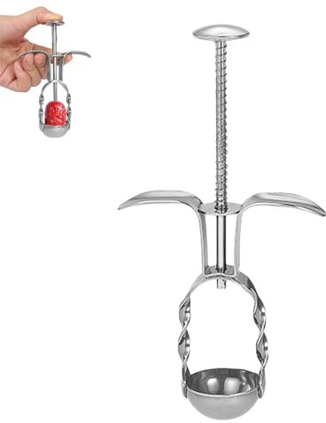 Gkumgwo Estrattore di datteri rossi, strumento di vuoto-ciliegia, svuotatori di frutta manuale, in acciaio inox, dispositivo di rimozione per snocciolatore multifunzione per ciliegie, giuggiole e