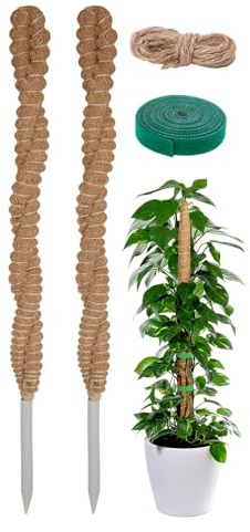 Generico Pali di Muschio per Piante Rampicanti,2 Pezzi Supporto Flessibile in Fibra di Cocco - 63 Cm di Muschio per Piante Monstera,per Rampicanti da Interno Ed Esterno per Casa, Giardino E