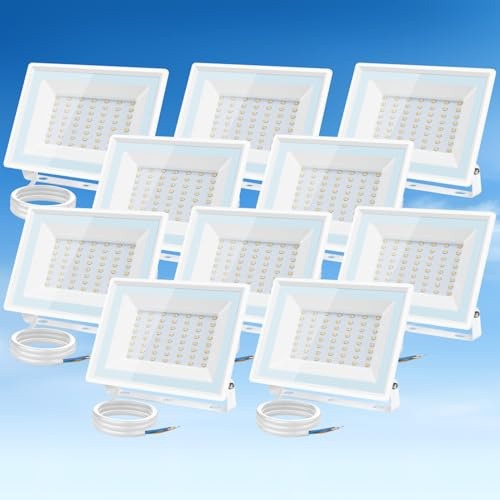 Aigostar Faretto LED da Esterno 50W,4300LM,Faretti LED Esterno Naturale 4000K,Luce di Sicurezza Impermeabile IP65,Per Giardino,Cortile,Garage,Corridoio, Confezione da 10
