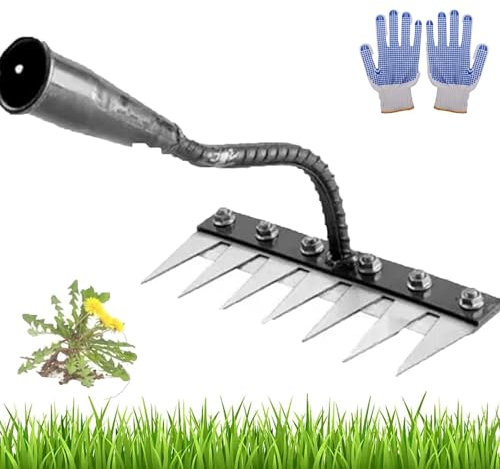 2025 Gardenia Iron Weeding Rake 2.0,Iron Rake 2.0,Irons Rakes for Gardening and Weedings,Ironrake The Heavy-Duty Irons Weedings Rakes,5/6/7/8 Teeth Carbon Steel Garden Weeding for Gardening (8 Teeth)