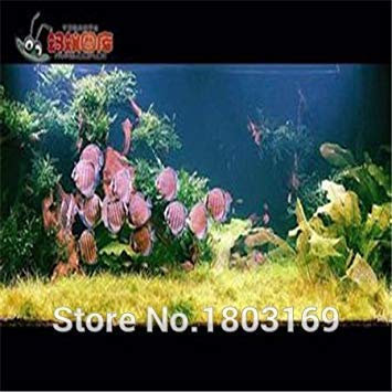 Clear : 50 Aquarium Seeds/Pack Plants Fish Tank Aquarium Decoration Grass Seed Plants Seeds